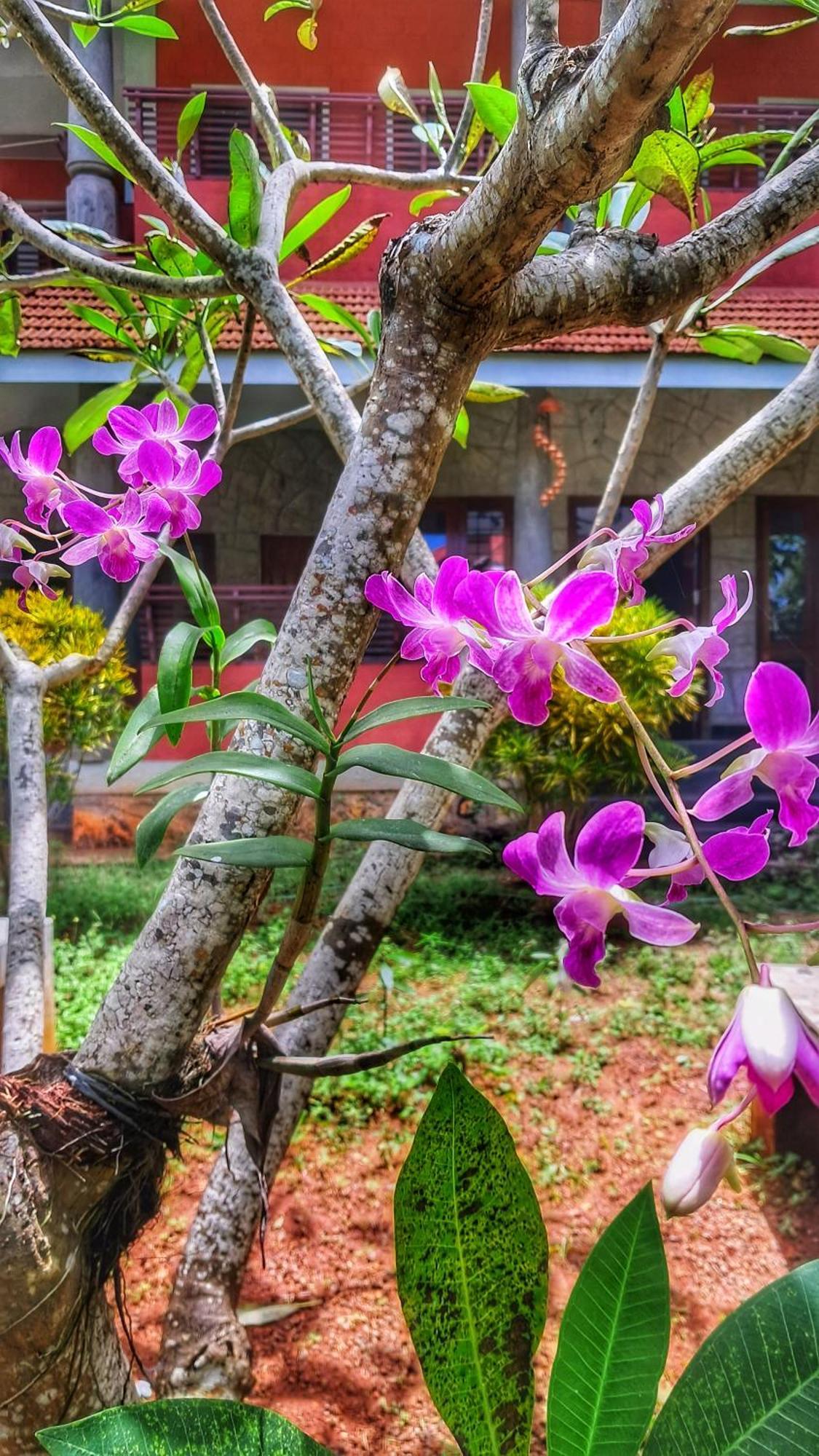 Vedic Heritage Boutique Hotel Kovalam Bagian luar foto