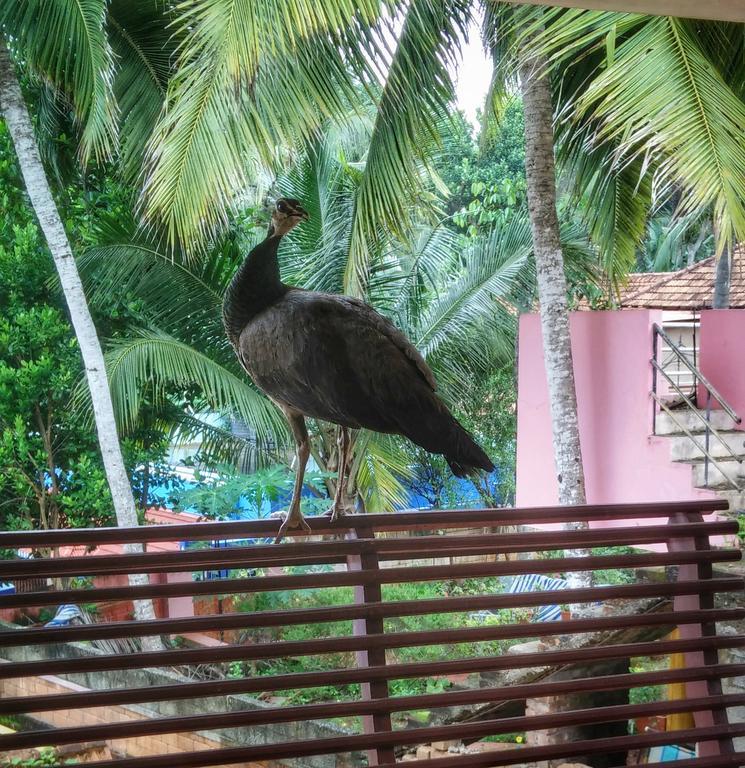 Vedic Heritage Boutique Hotel Kovalam Bagian luar foto