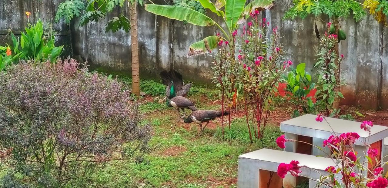 Vedic Heritage Boutique Hotel Kovalam Bagian luar foto